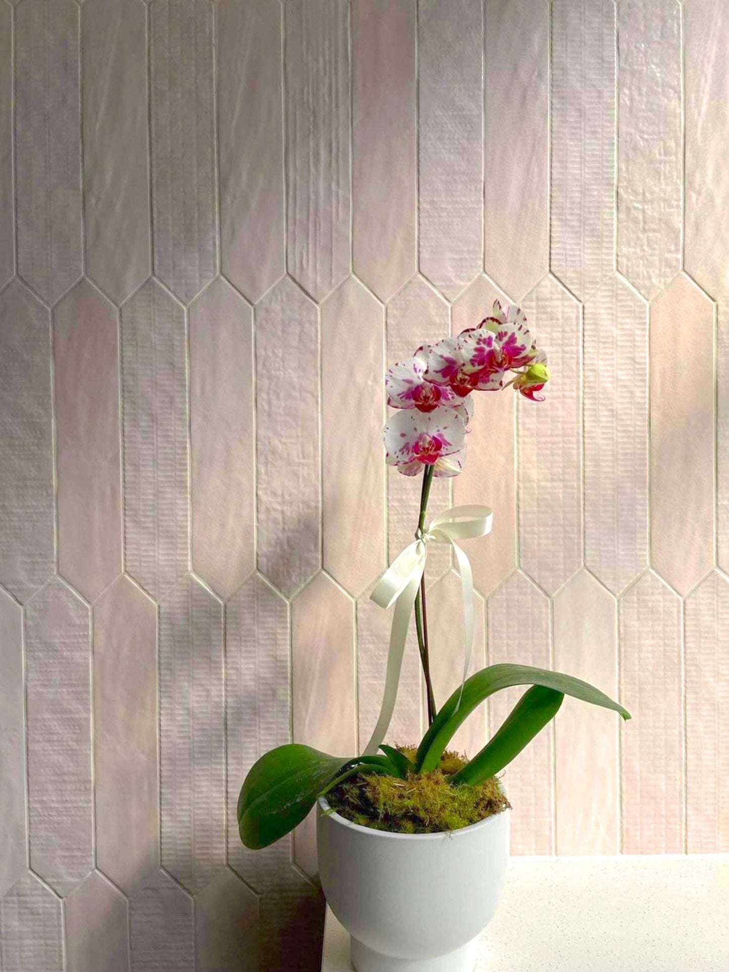 White ceramic orchid pot with blooming orchid and ribbon, set against a textured tile wall